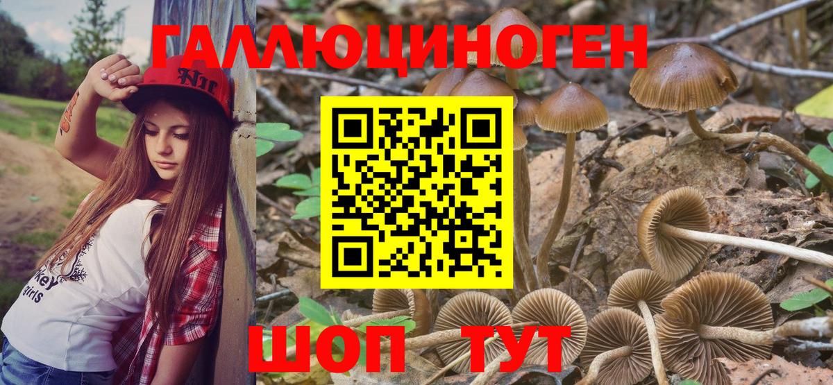 Галлюциногенные грибы прущие грибы Сердобск